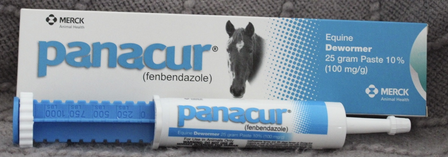 Glosar Patrie Inspecta  Panacur Paste – Heartland Equine & Pet Supply, Ltd.